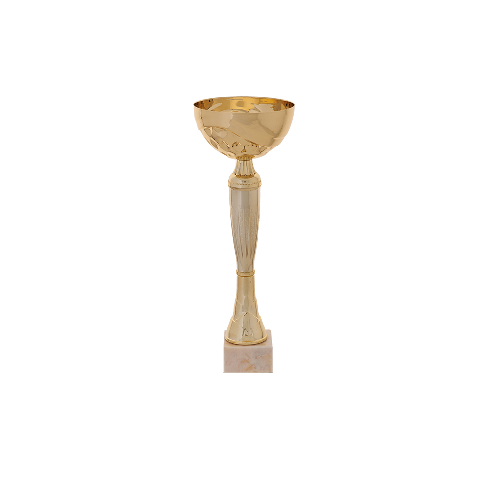 Кубок купить в Ижевске 9059e